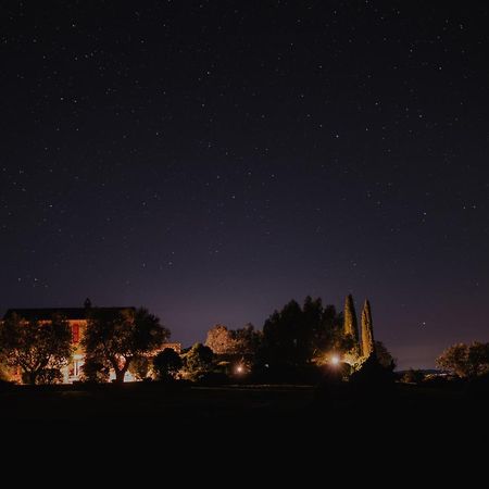 Agriturismo Podere Prataccio Scansano Kültér fotó