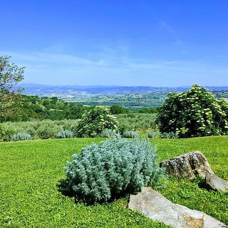 Agriturismo Podere Prataccio Scansano Kültér fotó