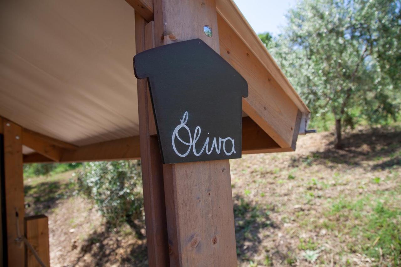 Agriturismo Podere Prataccio Scansano Kültér fotó