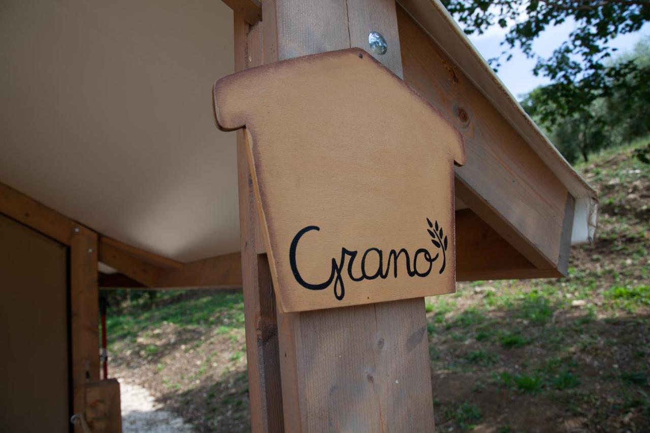 Agriturismo Podere Prataccio Grosseto Kültér fotó