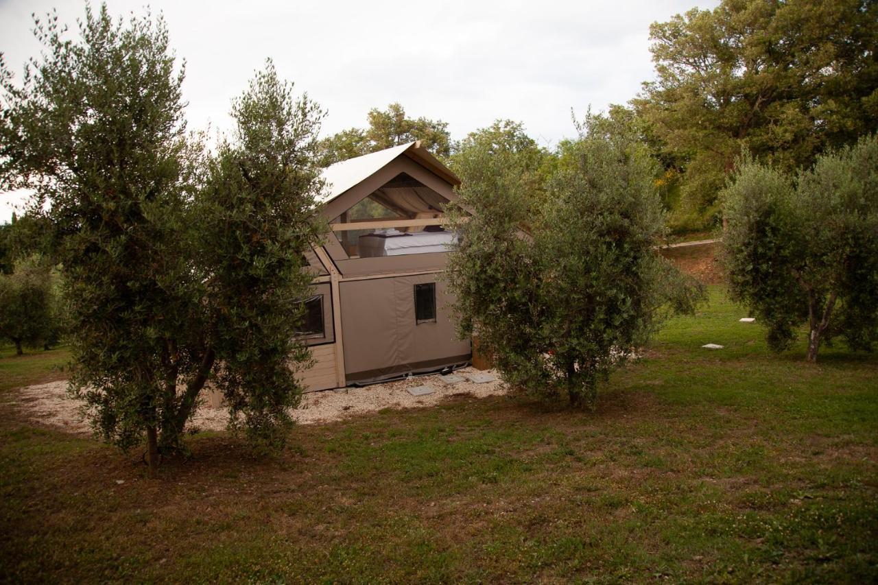 Agriturismo Podere Prataccio Grosseto Kültér fotó