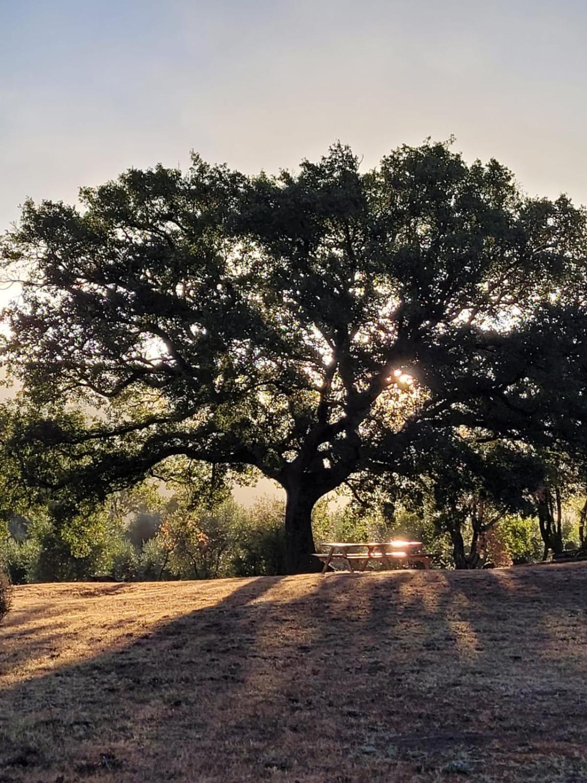 Agriturismo Podere Prataccio Grosseto Kültér fotó